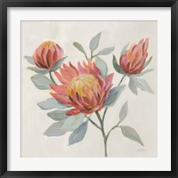 Field Bloom II Framed Print