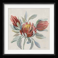 Field Bloom I Framed Print