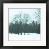 Snowfall Fine Art Print