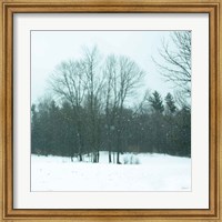Snowfall Fine Art Print