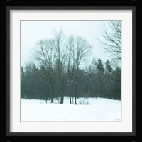 Snowfall Fine Art Print