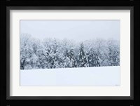 Snowshoe Hill Fine Art Print