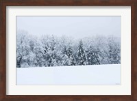 Snowshoe Hill Fine Art Print