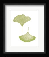 Renew on White Fine Art Print