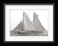 Columbia & Shamrock, 1901 Fine Art Print