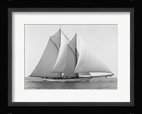 Merlin Fine Art Print