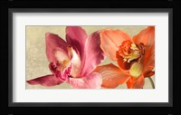 Two Orchids Fine Art Print