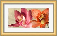 Two Orchids Fine Art Print