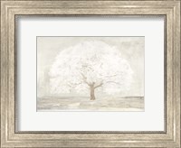 Pale Tree Fine Art Print