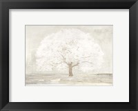 Pale Tree Fine Art Print