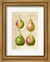 Pears, After Redoute Fine Art Print