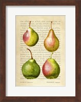 Pears, After Redoute Fine Art Print