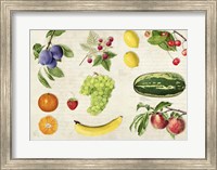 Fruits du Monde Fine Art Print