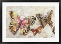 Farfalle in Volo II Fine Art Print