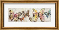 Farfalle in Volo Fine Art Print