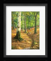 Sentiero nel Bosco Fine Art Print