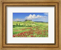 Farmhouse with Cypresses and Poppies, Val d'Orcia, Tuscany Fine Art Print