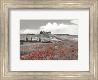 Farmhouse with Cypresses and Poppies, Val d'Orcia, Tuscany (BW) Fine Art Print