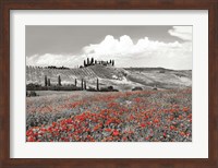 Farmhouse with Cypresses and Poppies, Val d'Orcia, Tuscany (BW) Fine Art Print