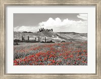 Farmhouse with Cypresses and Poppies, Val d'Orcia, Tuscany (BW) Fine Art Print