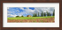 Landscape with cypress alley and sainfoins, San Quirico d'Orcia, Tuscany Fine Art Print