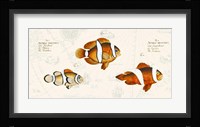 Tropical fish I, After Bloch Fine Art Print