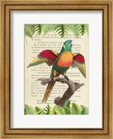 The Blue-Headed Parrot, After Levaillant Fine Art Print