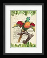 The Blue-Headed Parrot, After Levaillant Fine Art Print