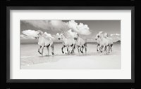Band of Brothers, Lanikai Beach, Hawaii (BW) Fine Art Print