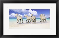 Band of Brothers, Lanikai Beach, Hawaii Fine Art Print