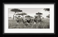 Brothers, Masai Mara, Kenya (detail) Fine Art Print
