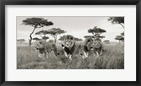 Brothers, Masai Mara, Kenya (detail) Fine Art Print