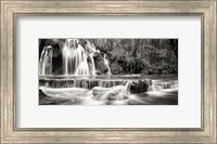 Waterfall in a forest (BW) Fine Art Print