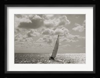 Sailing Fine Art Print