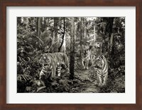 Bengal Tigers (BW) Fine Art Print