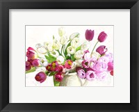 Bouquet on White Background Fine Art Print