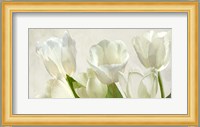 White Tulips (detail) Fine Art Print