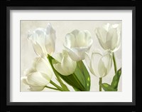 White Tulips Fine Art Print