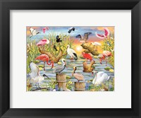 Fabulous Water Birds Fine Art Print