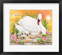 Mother Swan At Sunset Fine Art Print