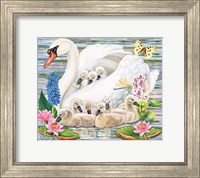 Mother Swan Fine Art Print