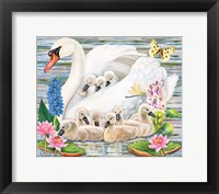 Mother Swan Fine Art Print