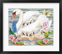 Mother Swan Fine Art Print