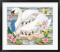 Mother Swan Fine Art Print