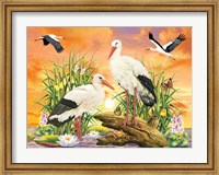 Storks Fine Art Print