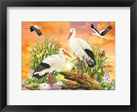 Storks Fine Art Print
