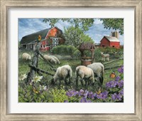 Pleasant Valley Sheep Farm Fine Art Print