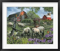 Pleasant Valley Sheep Farm Fine Art Print
