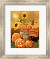 Pumpkins for Sale Fine Art Print