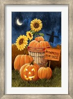 Pumpkins For Sale - Night Sky Fine Art Print